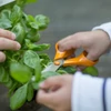 Kép 4/6 - Classic általános olló 21cm Fiskars 