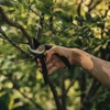 Kép 7/7 - Fiskars Solid mellévágó metszőolló P321