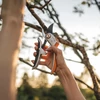 Kép 5/6 - Fiskars P751 Plus™ metszőolló, mellévágó